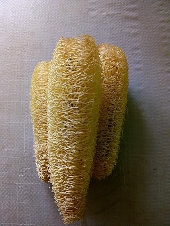 Loofah Natural body sponge Scrubber 5 Pieces- 10 to 15 cm