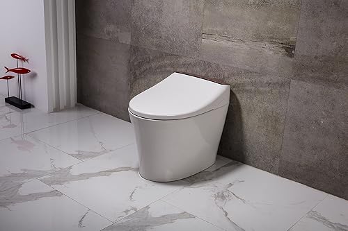 Top 10 Best Tankless Toilets Of 2020 Ultimate Reviews Buying Guide