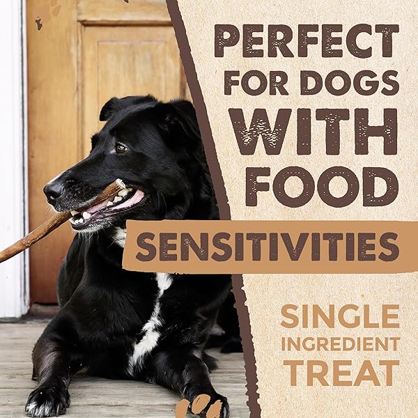 MIGHTY PAW NATURALS BULLY STICKS FOR SMALL & MEDIUM DOGS – GRASS FED BEEF CHEWS. BULLY STICKS FOR LARGE DOGS. LOWER ODOR STICK TREAT. SINGLE INGREDIENT (6″ – 10 PACK)