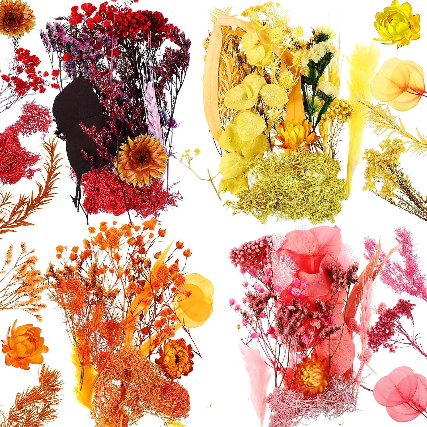 120 Pieces Natural Pressed Dried Flowers Leaves Set with Tweezer