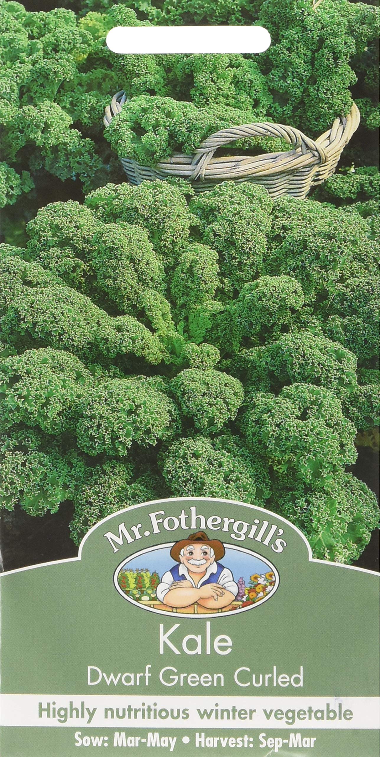 Mr Fothergill's Kale Dwarf Green Curled