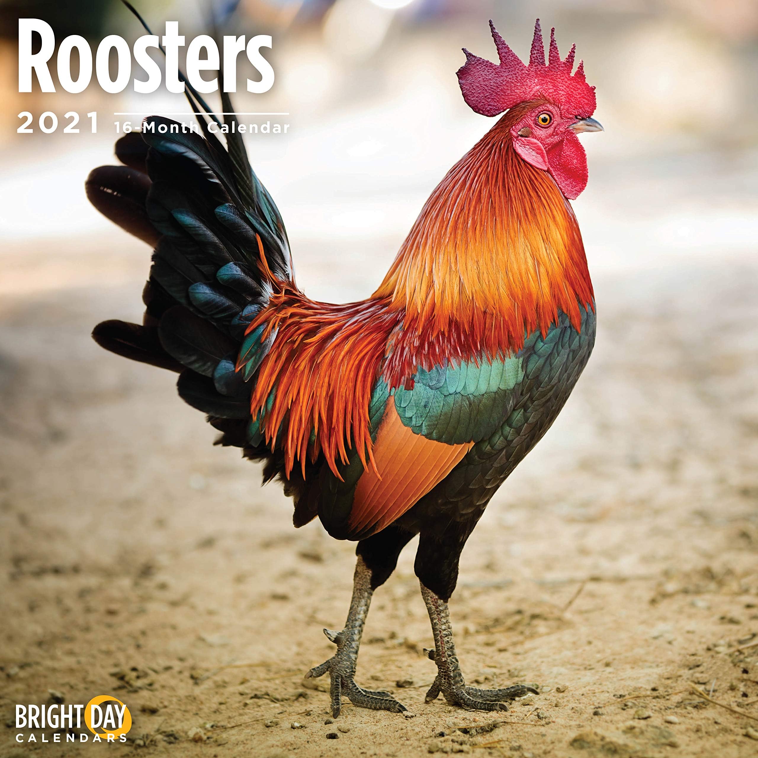 2021 Roosters Wall Calendar by Bright Day, 12 x 12 Inch, Beautiful Farm Animals Chickens