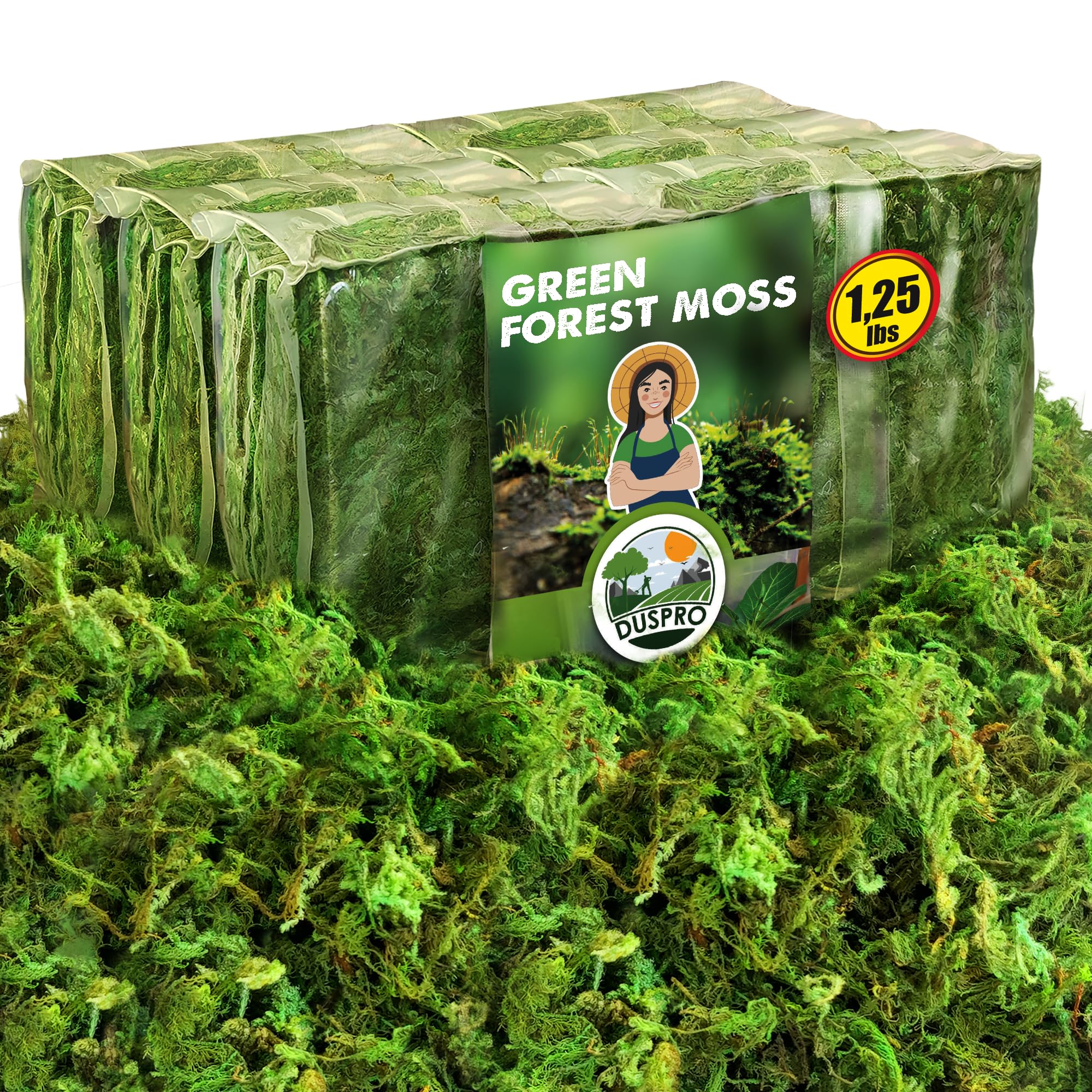 Photo 1 of [Upgraded] DUSPRO Green Moss for Crafts, Real Forest Moss Potted Plants, Decorative Mosses for Table Centerpieces Wedding Christmas Fairy Party Decor, Indoor Planters, DIY Project (1.25 Lbs)