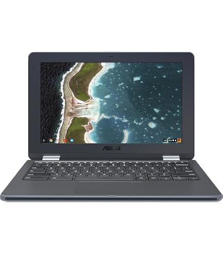 Amazon.com: ASUS Chromebook Flip C213SA-YS02 11.6 inch Ruggedized
