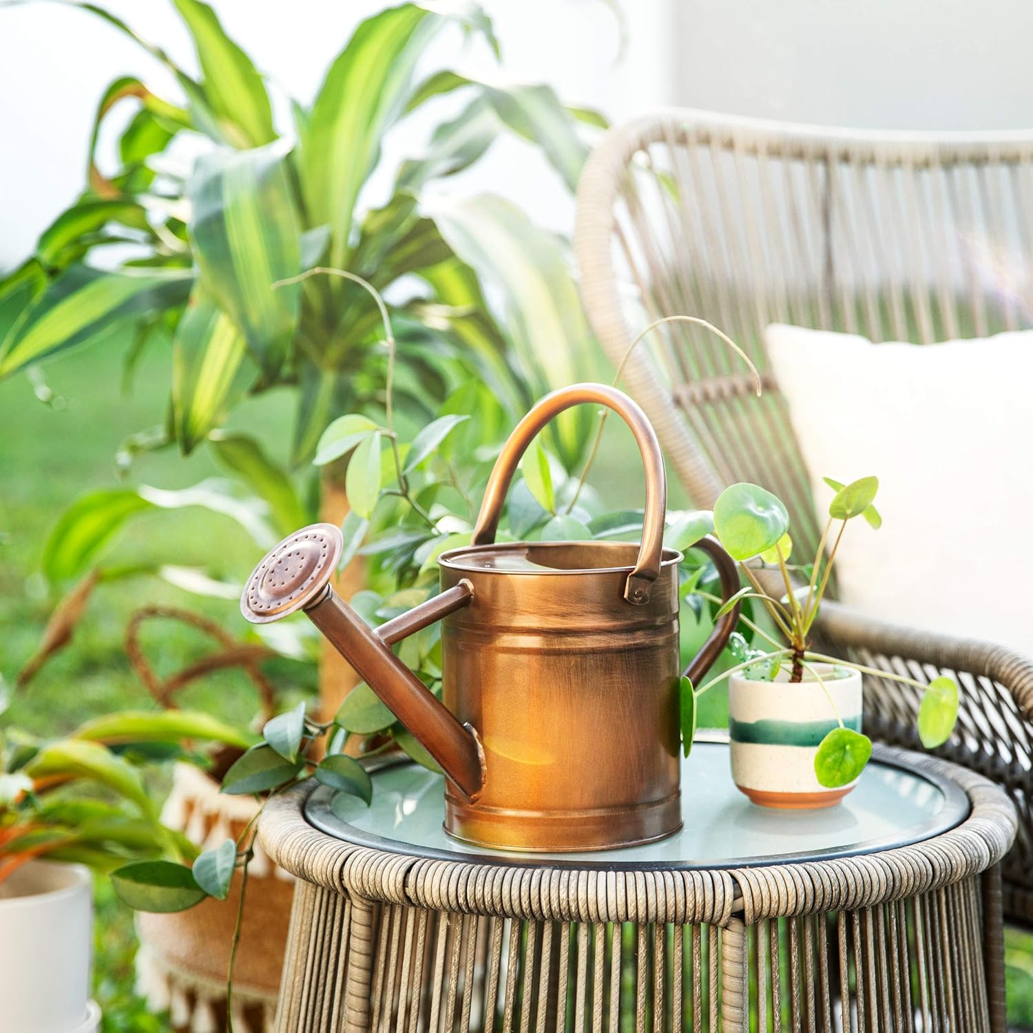 Homarden Half Gallon Copper Colored Metal Indoor Outdoor Plant Watering Can for House Plants with Removable Spout, 80oz : Garden & Outdoor