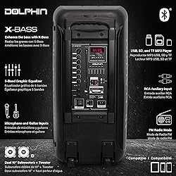 Dolphin 1000W Karaoke Party Speaker with 2 Wireless