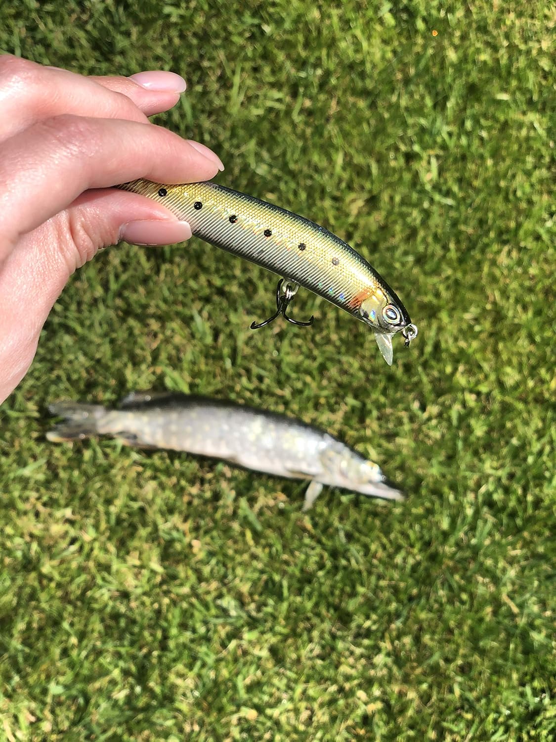 saltwater swimbaits