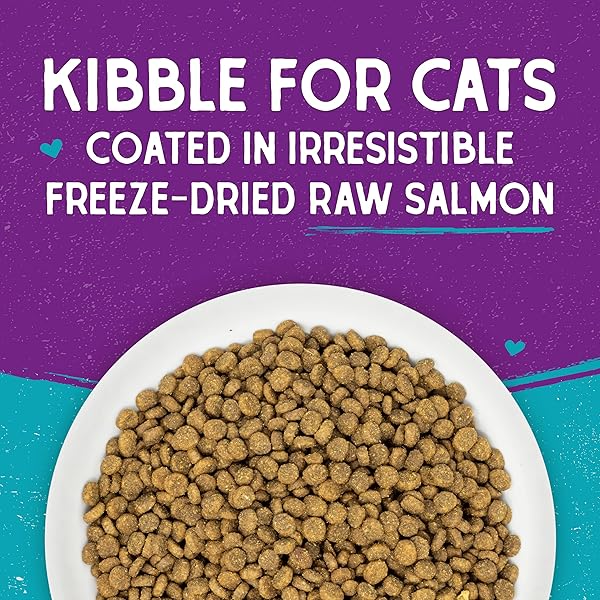 STELLA & CHEWY’S RAW COATED CAT FOOD – HIGH PROTEIN, GRAIN-FREE KIBBLE WITH WILD-CAUGHT SALMON – PREMIUM DIGESTIVE SUPPORT WITH PROBIOTICS – NATURAL SMALL KIBBLE – PERFECT FOR PICKY EATER – 2.5LB BAG