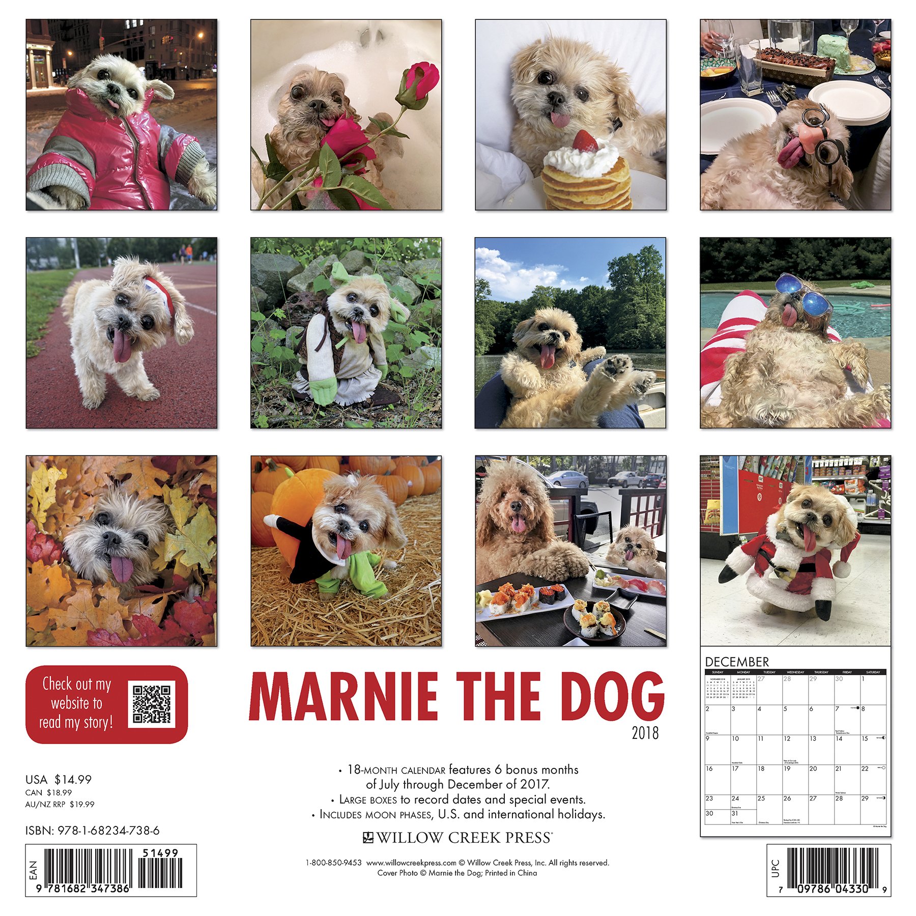 marnie the dog book