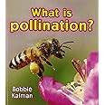 What is Pollination? (Big Science Ideas)