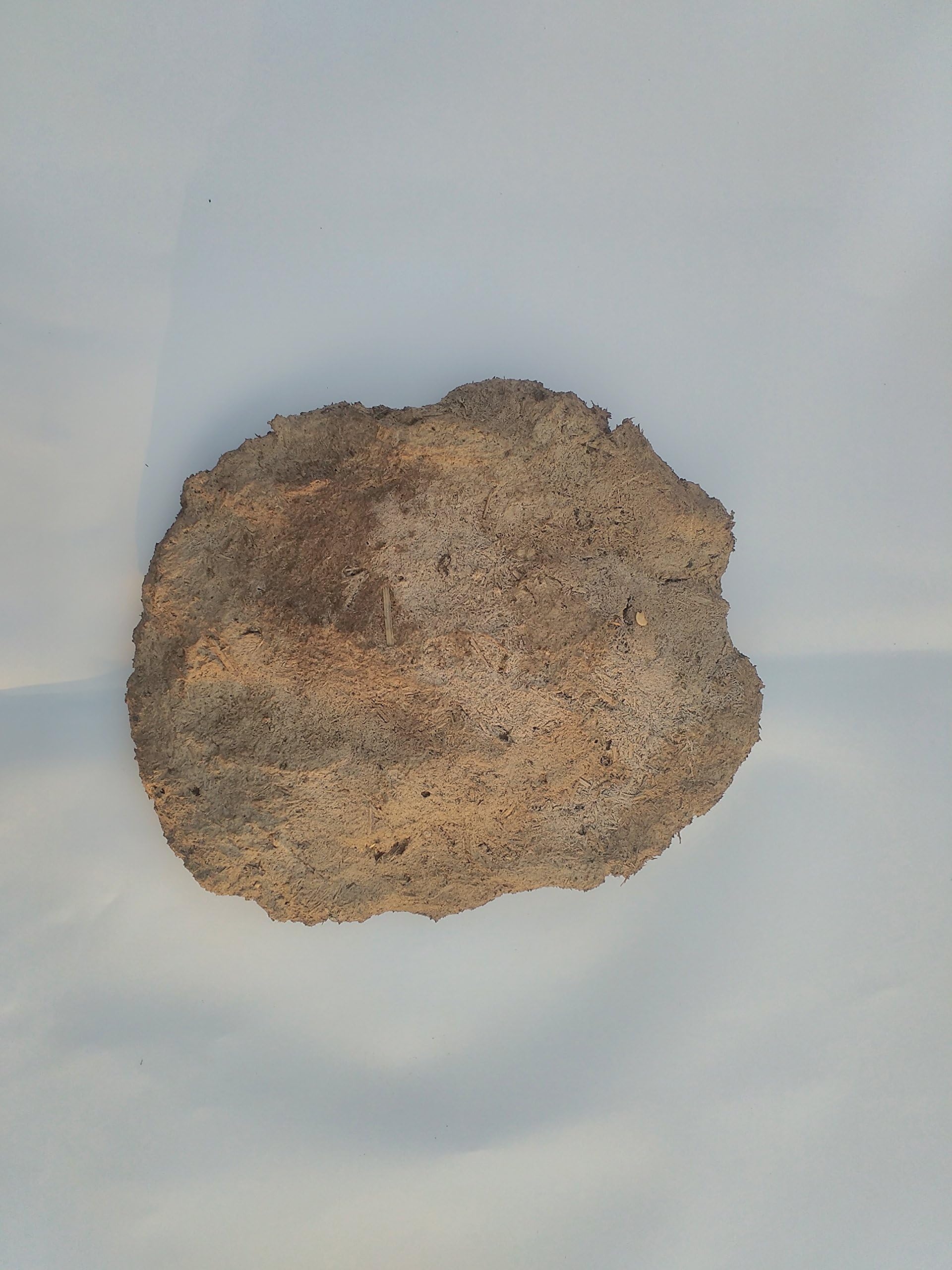 Gobar upla / 100% cow dung cake 12 pieces, Completely dry