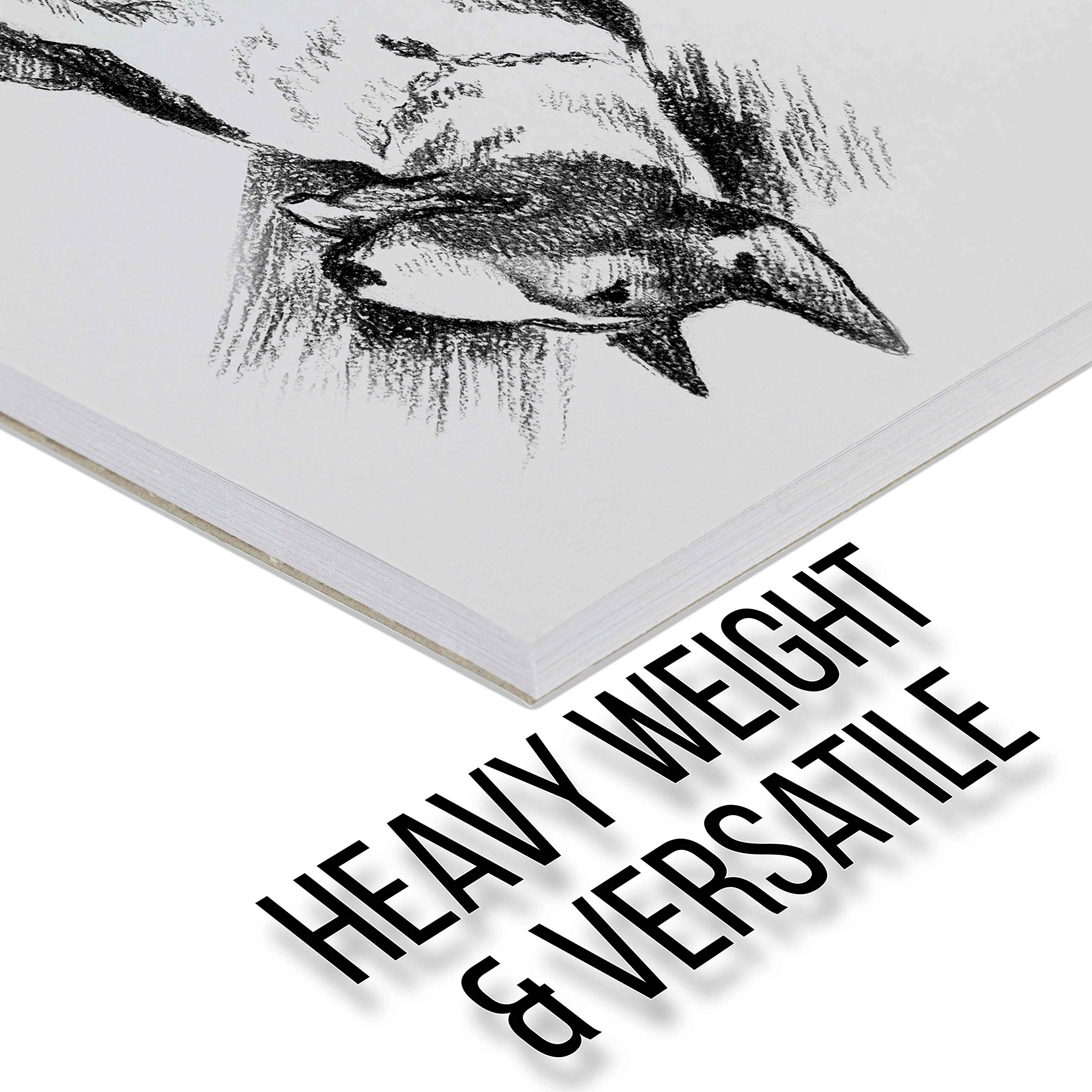 US Art Supply 9 in. x 12 in. Premium Heavy-Weight Charcoal Paper Pad, 160gsm, 90 Pound, 32 Sheets (Pack of 2)