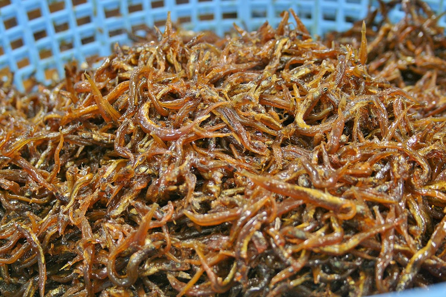 Amazon 新物 淡路島産 つくだ煮 くぎ煮 無添加 手釜 炊きたて 島から 直送 500 グラム あわじの食彩 生鮮魚介類 水産加工品 通販