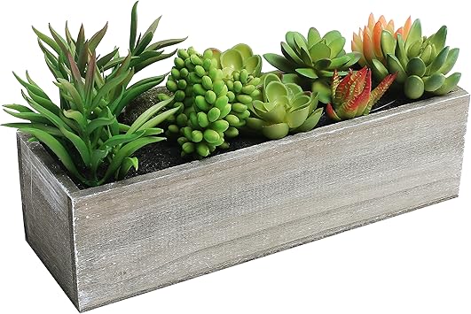 Amazon Com Mygift Artificial Mixed Succulent Plants In