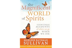 The Magnificent World of Spirits: Eyewitness Accounts of Where We Go When We Die (Latter-day Saint Book on Death and Near Dea