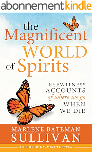 Download The Magnificent World of Spirits: Eyewitness Accounts of Where We Go When We Die (English Edition) PDF