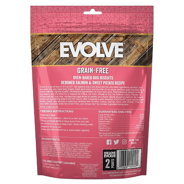 EVOLVE PET FOOD GRAIN FREE DEBONED SALMON AND CHICKPEA DOG BISCUITS 12 OUNCE (PACK OF 1)