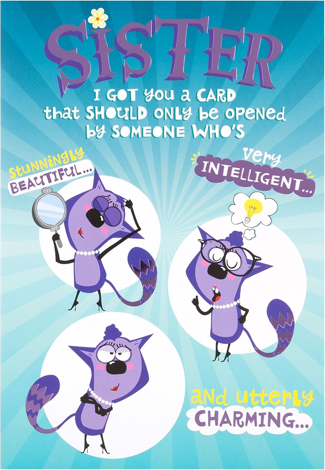 Hallmark Sister Birthday Card"Stunningly Beautiful" Medium Amazon.co