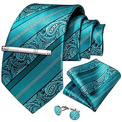DiBanGu Silk Paisley Ties for Men Woven Necktie and