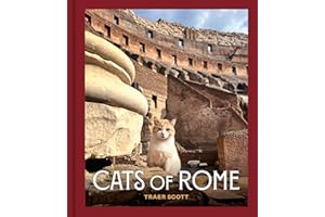 Cats of Rome