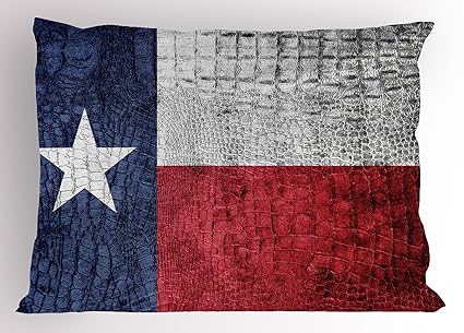 Amazon Com Ambesonne Western Pillow Sham Texas State Flag