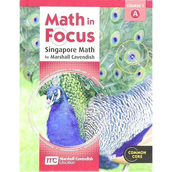 Amazon.com: Math in Focus: Singapore Math Volume a Grade 7