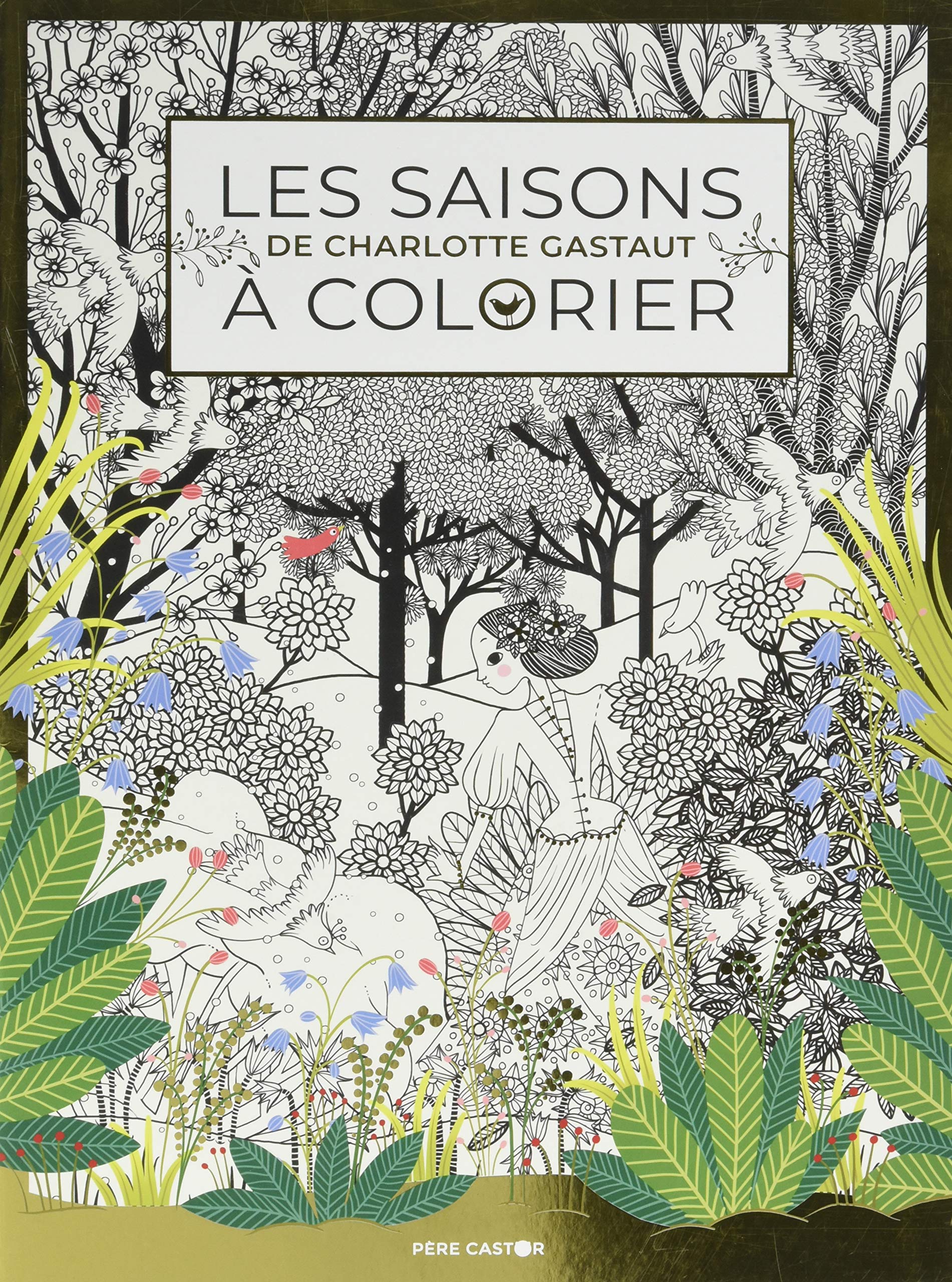 Amazon Les saisons colorier Charlotte Gastaut Livres 91LwDCehwXL
