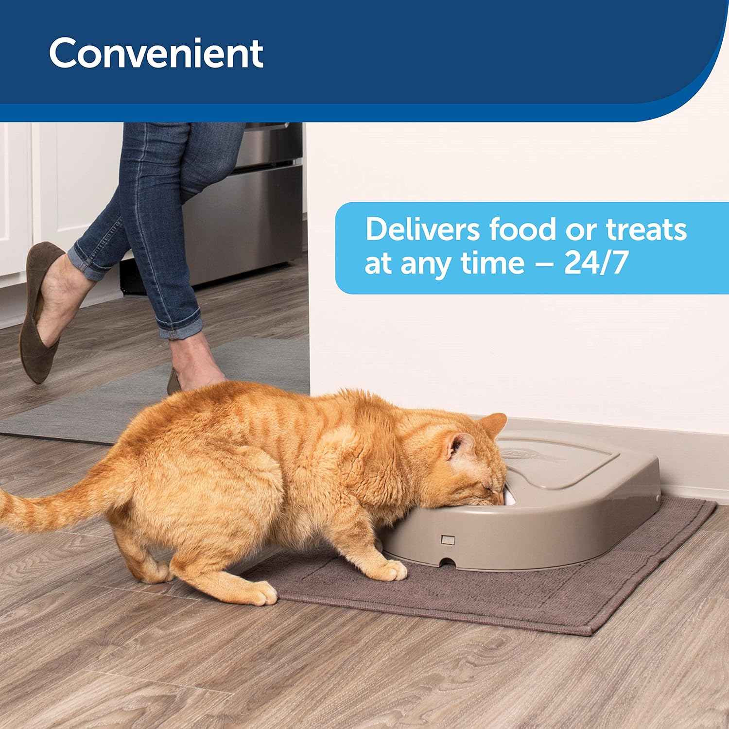 Pet Supplies : PetSafe Dog and Cat Food Dispenser, 5 Meal with Digital Clock or 2 Meal Tamper Resistant with Dials Automatic Pet Feeders, Portion Control, Holds Dry Food : Pet Self Feeders : 