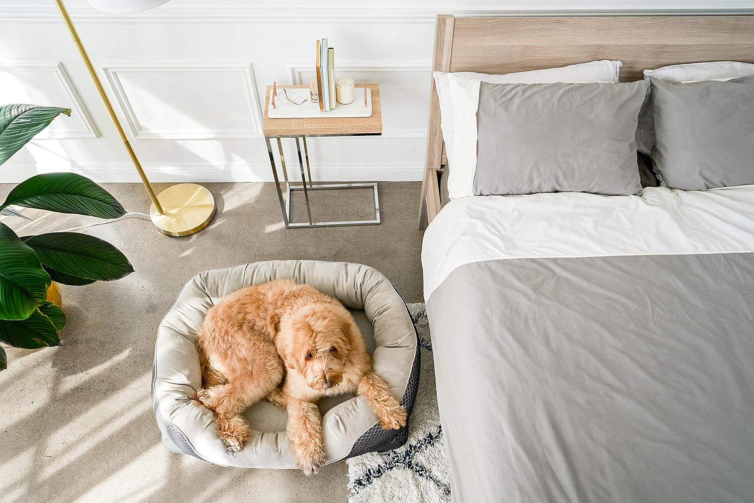 barksbar large orthopedic dog bed