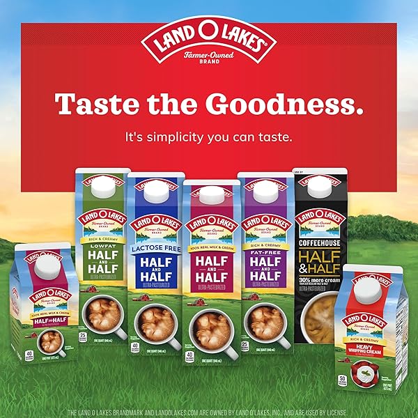 LAND O LAKES HALF AND HALF UHT-PROCESSED CREAMER, 24 COUNT