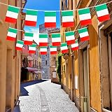 YAAVAAW Italy Oly 2024 Flags Banner 10m 30 Flags Indoor Outdoor Decor view 4