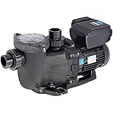Amazon.com : Pentair 342001 SuperFlo VS Variable Speed