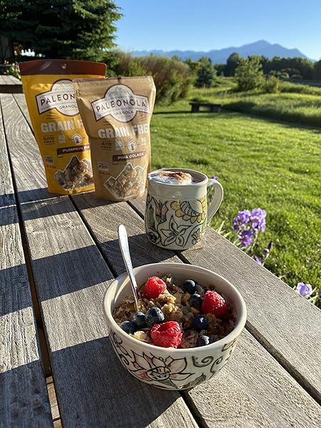 PALEONOLA PINA COLADA GRAIN FREE GRANOLA, 10 OZ RESEALABLE BAG (PACK OF 1) – GRAINLESS PALEO GRANOLA BLENDED WITH DRIED COCONUT, NUTS, SEEDS & PINEAPPLES – LOW CARB GLUTEN & DAIRY FREE, NON-GMO SNACK
