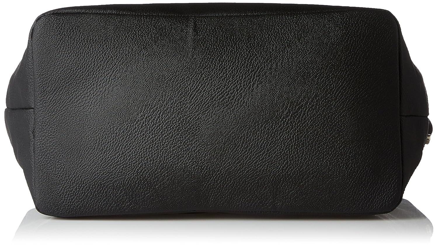 baggit women's tote bag (black)