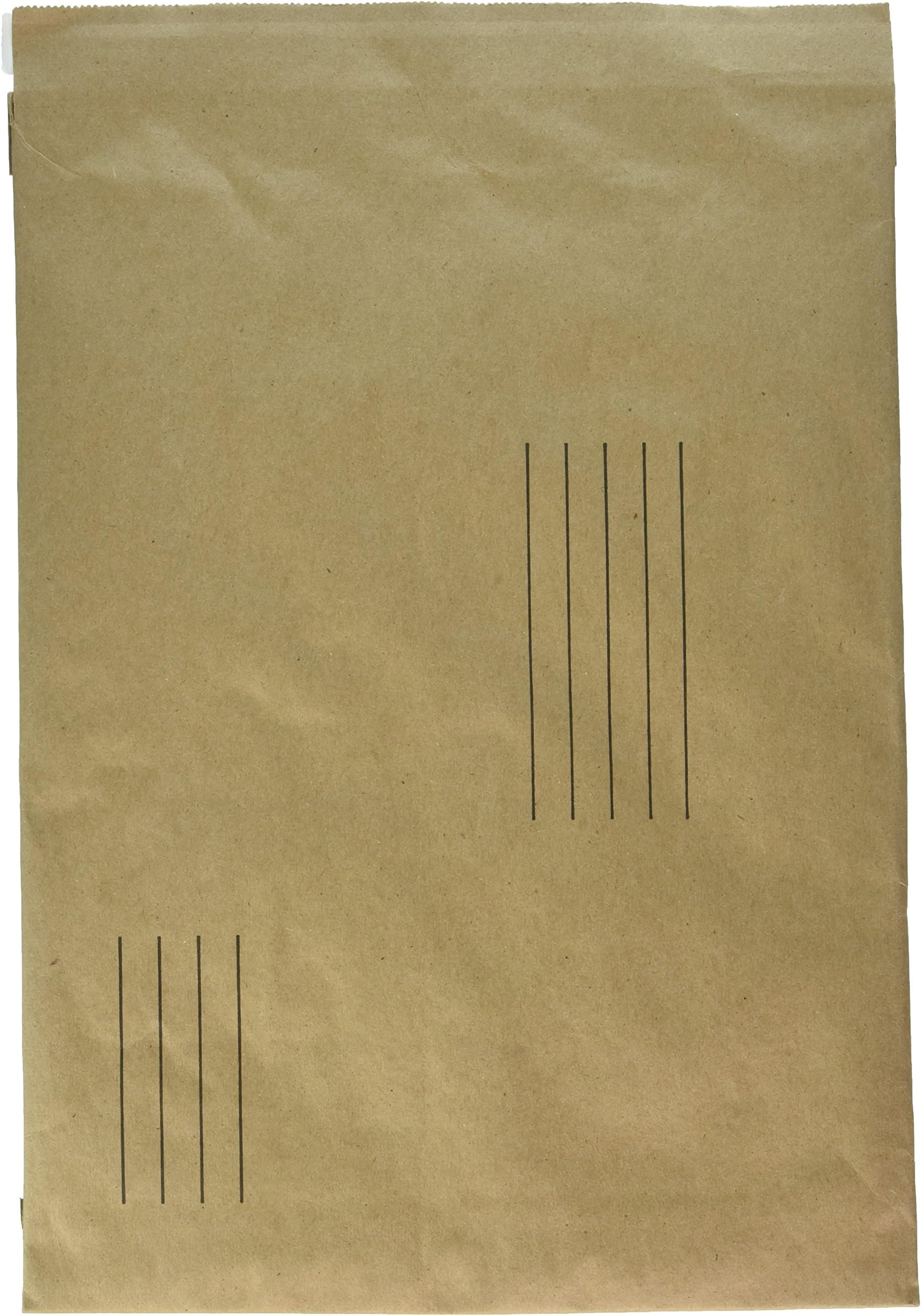CML1143554 - Caremail Rugged Padded Mailer
