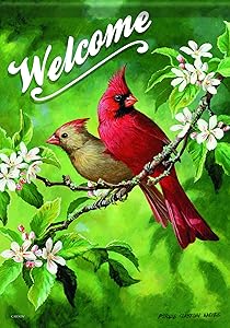 Carson Home Accents Flagtrends Classic Garden Flag, Welcome Birds Lady & Red