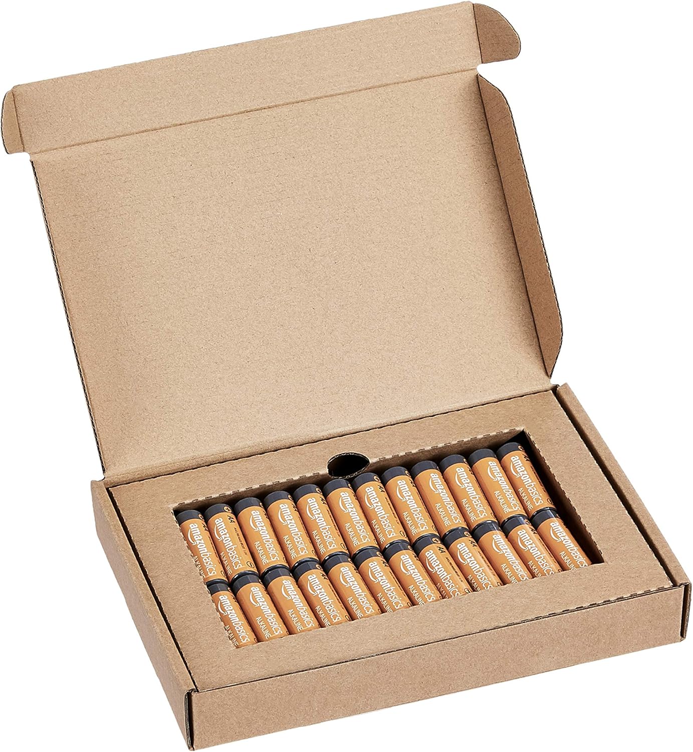 Basics 48 Pack AA High-Performance Alkaline Batteries, 10-Year Shelf Life, Easy to Open Value Pack: Health & Personal Care