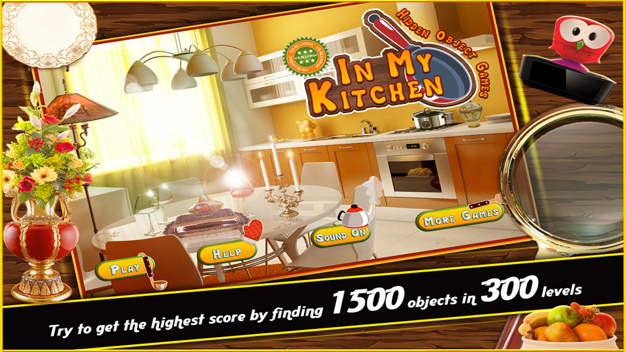 In My Kitchen Hidden Object Challenge for