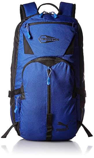 Puma Polyester 24 Ltrs Surf The Web Laptop Bag (7324409)