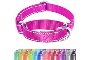 Seyezo Martingale Dog Collar - No Buckle, Adjustable, Reflective, Heavy Duty Nylon, M, Rosered