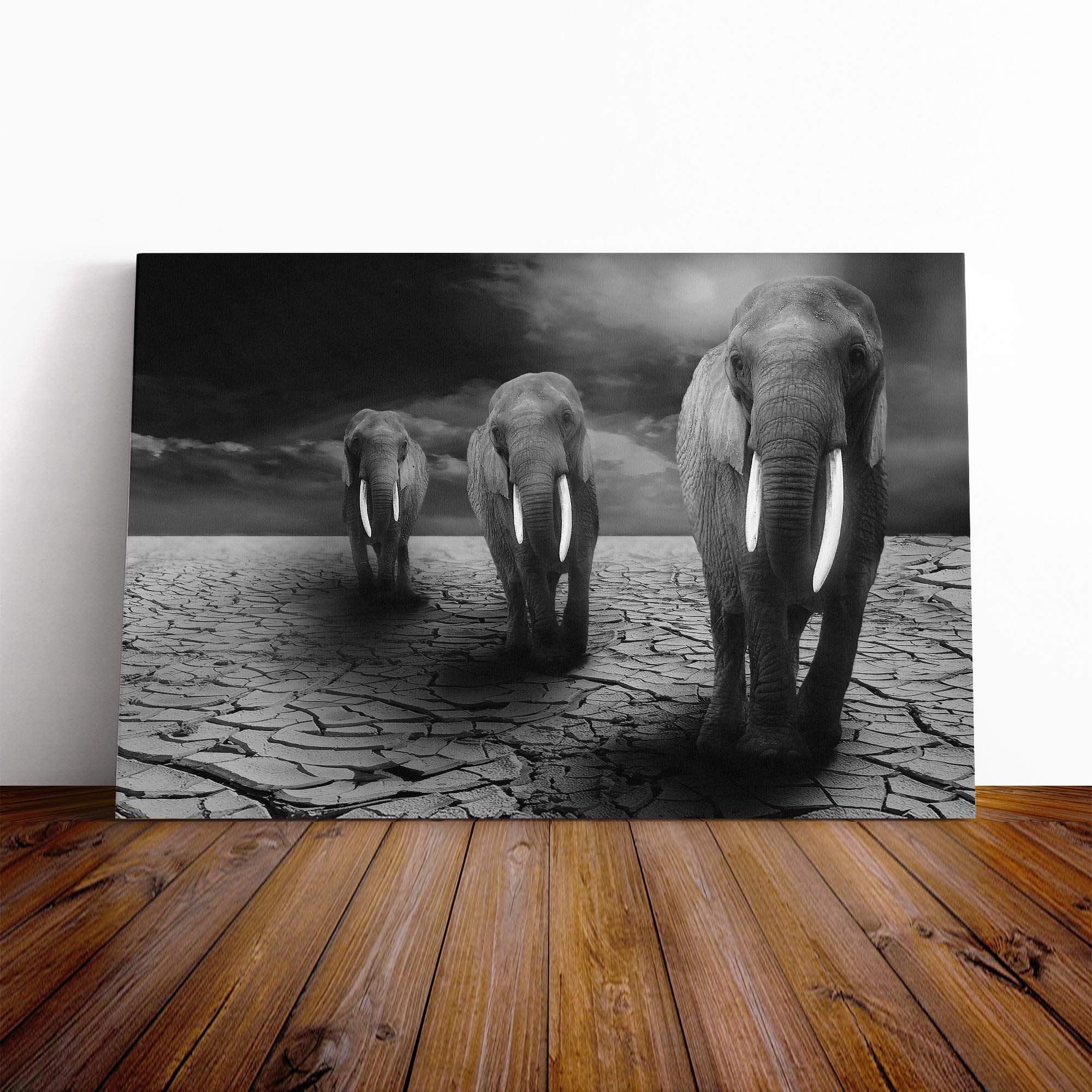 Elephant Vol.3 Canvas Print | Gallery Wrapped 30mm Frame Wall Art | 20x14 inches | Ready to Hang | Modern Animals Picture | Living Room Bedroom Lounge Office