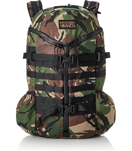 Amazon.com: Mystery Lunch Urban Assault Backpack [Parallel Import