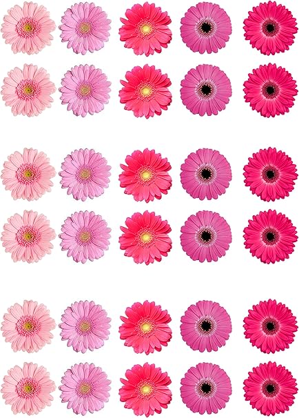 Assortiment De 30 Roses En Papier Comestible Pour Decoration De Gateau Amazon Fr Cuisine Maison