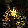 The Best Solar Garden Lights For Outdoor Path, Yard & Lawn 13 GIGALUMI Solar Garden Lights Outdoor