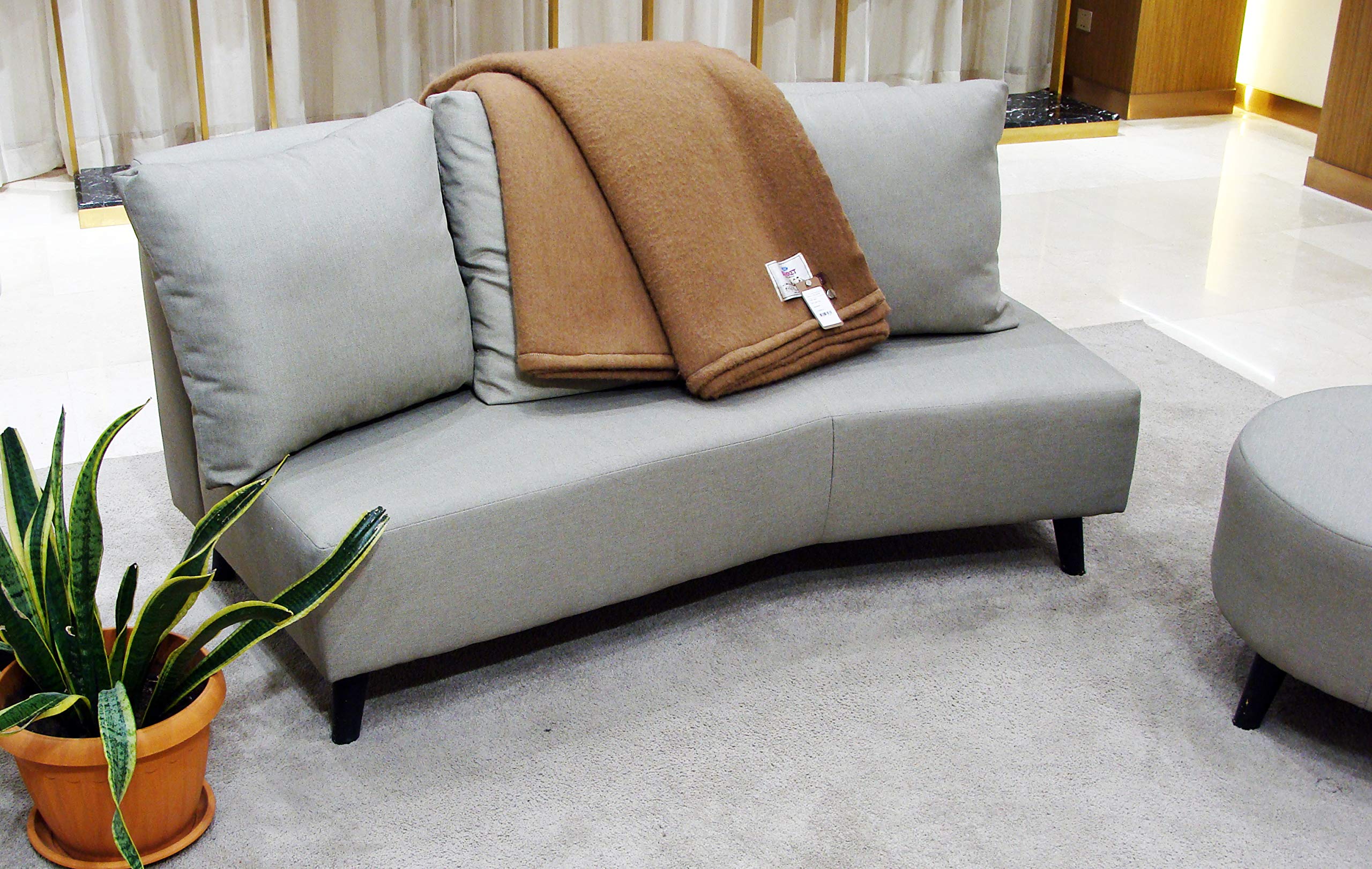 Camel Wool Blanket Buy Online in UAE. Kitchen Products in the UAE