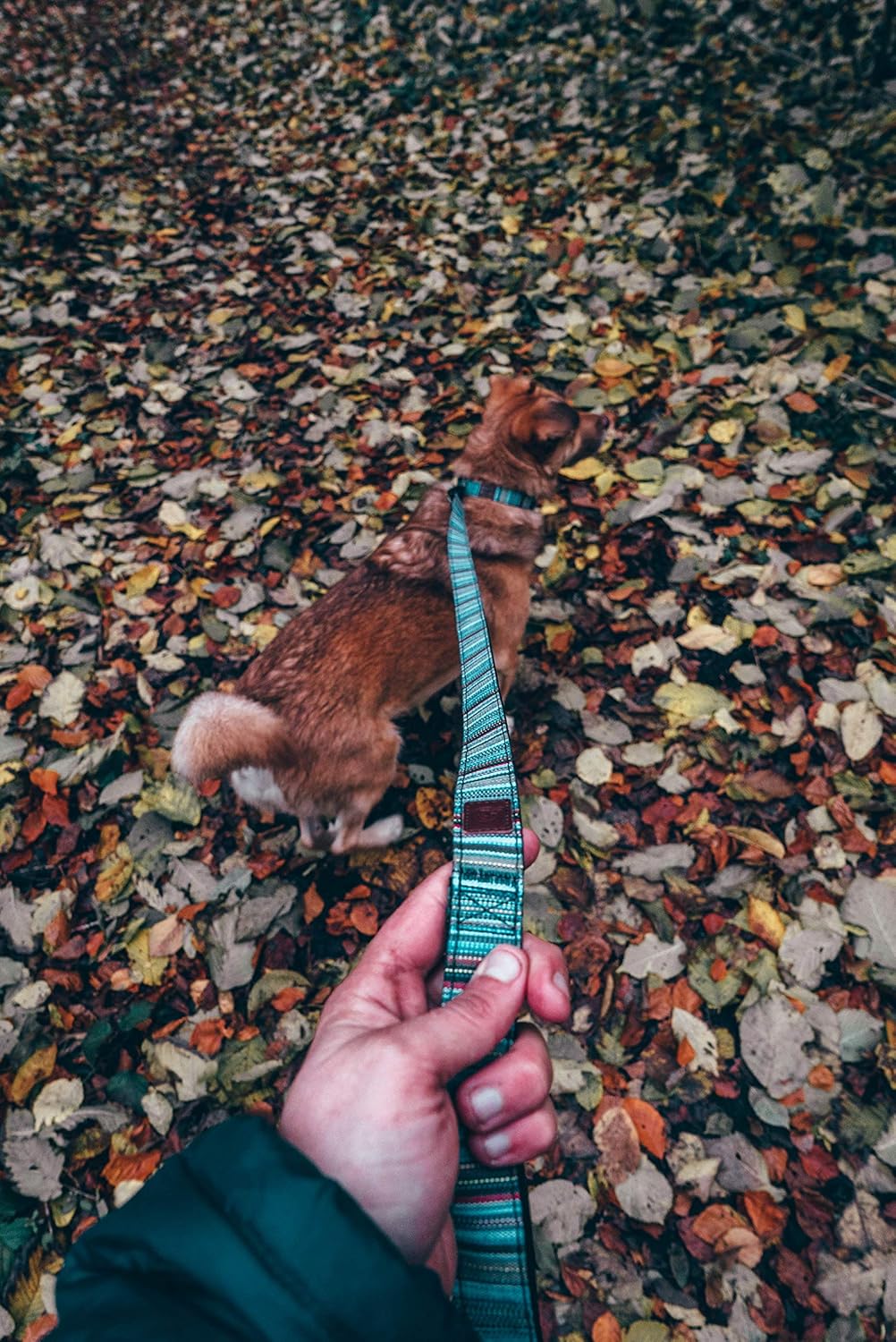 Embark Urban Dog Lead - Leads for Small Medium and Large Dogs (BOHO 4FT), Multicolor, 4 FT - Image 5