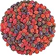 Extra Sour Gushers, Super Tangy Candy Bites, Irresistible Extra Sour Gummy Candy (8 Ounce, Strawberry)
