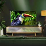 LG 75UR78006LK 75-Inch 4K Ultra HD Smart TV α5 AI Processor Gen6 Freeview Play view 6