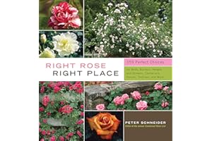 Right Rose, Right Place: 359 Perfect Choices for Beds, Borders, Hedges and Screens, Containers, Fences, Trellises, and More