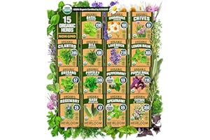 HOME GROWN Certified Organic Herb Seeds 15-Pack Non GMO, Heirloom 2,500+ Non GMO High-Germinating Heirloom Seeds for Planting Indoor Outdoor Herb Garden Hydroponics Garden Seeds, Basil Cilantro & More